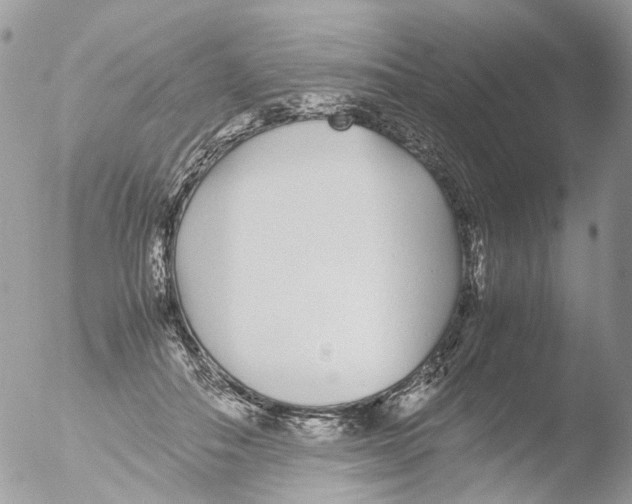 X0000051250506200507152153