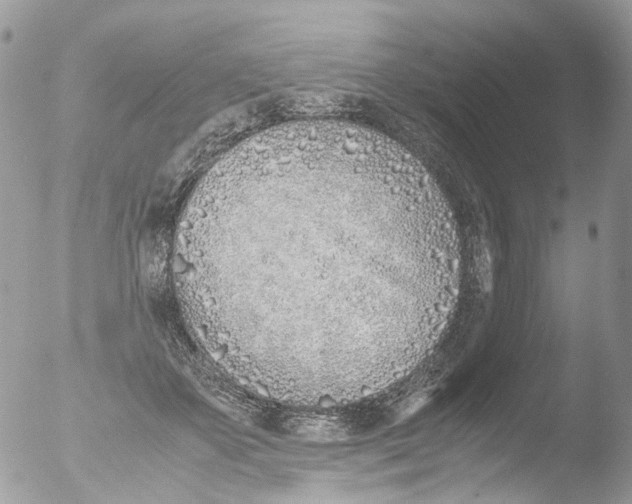 X0000051250507200507152153