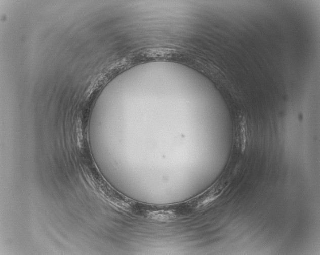 X0000051250508200507152153