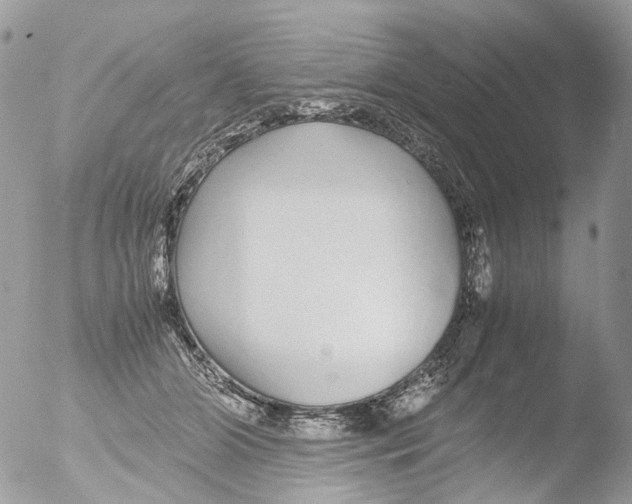 X0000051250510200507152153