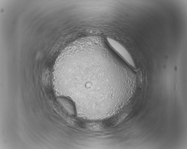 X0000051250511200507152153