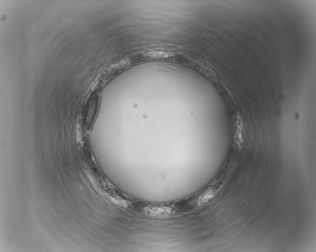 X0000051250512200507152153