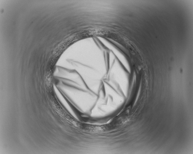 X0000051250513200507152153