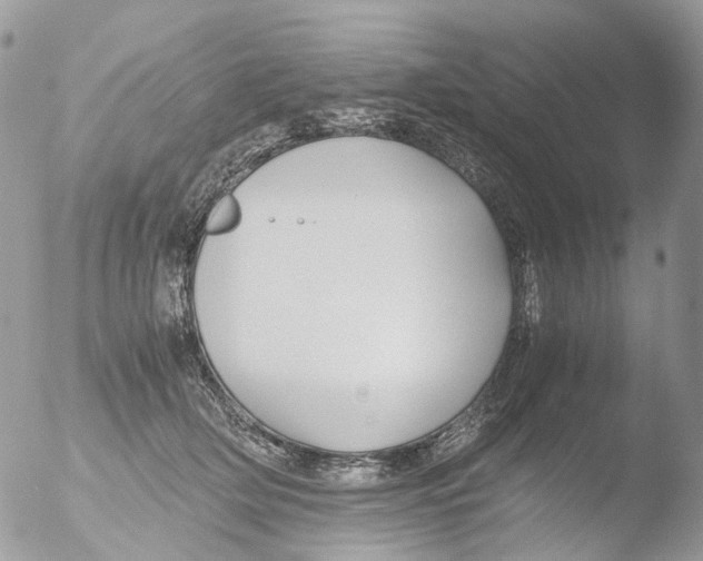 X0000051250514200507152153