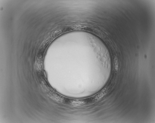 X0000051250515200507152153