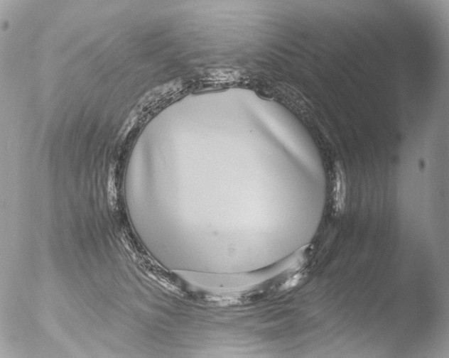 X0000051250516200507152153