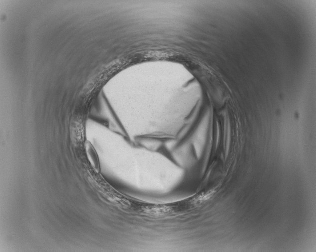 X0000051250517200507152153