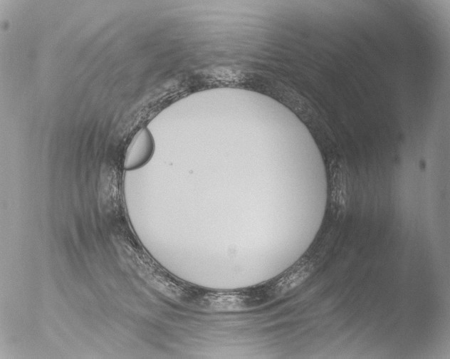 X0000051250518200507152153