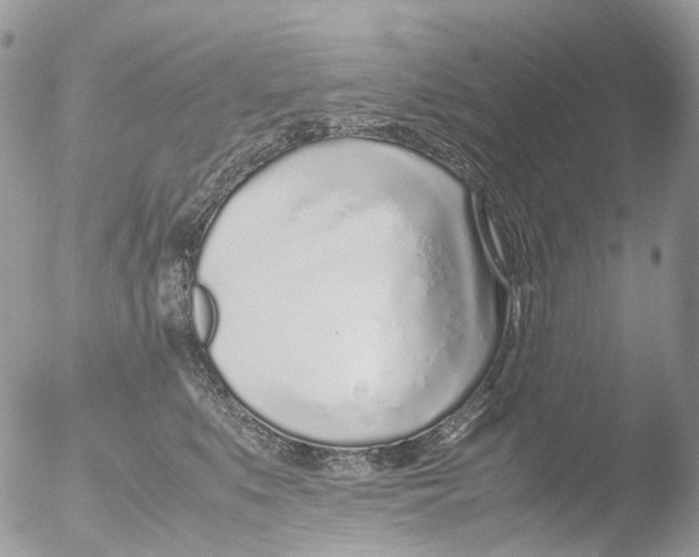 X0000051250519200507152153