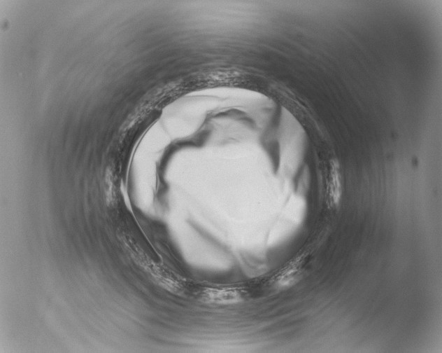 X0000051250520200507152153