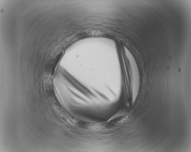 X0000051250521200507152153