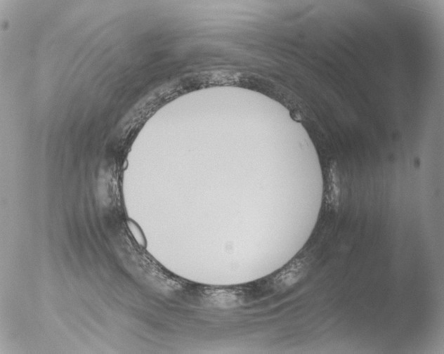 X0000051250522200507152153