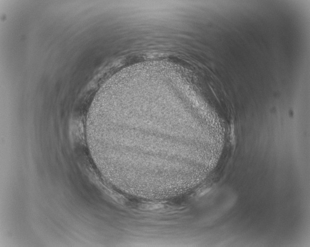 X0000051250523200507152153