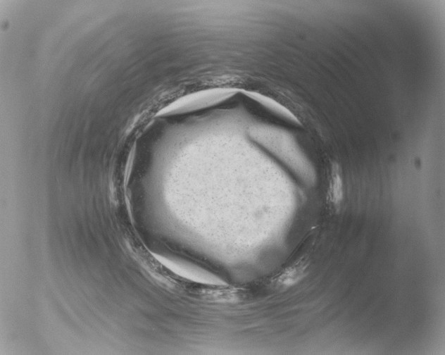 X0000051250524200507152153