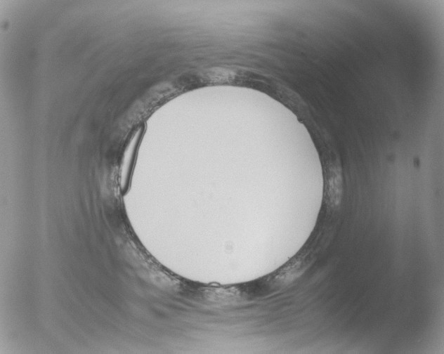 X0000051250525200507152153