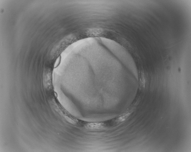 X0000051250526200507152153