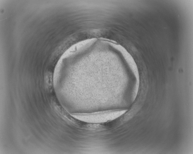 X0000051250528200507152153