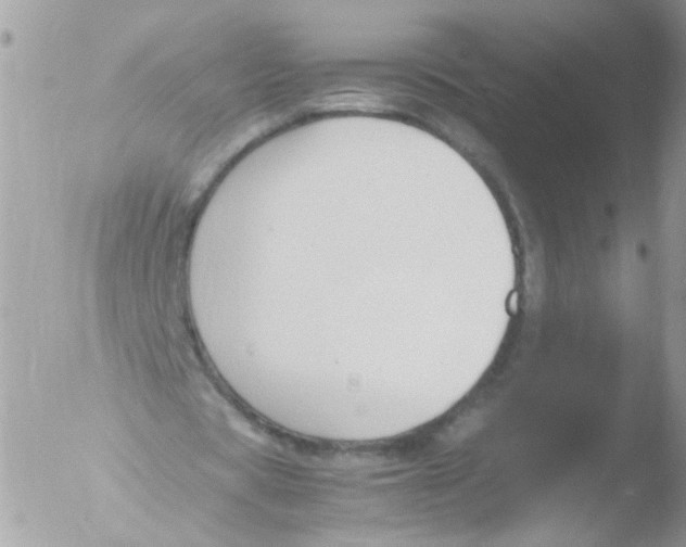 X0000051250529200507152152