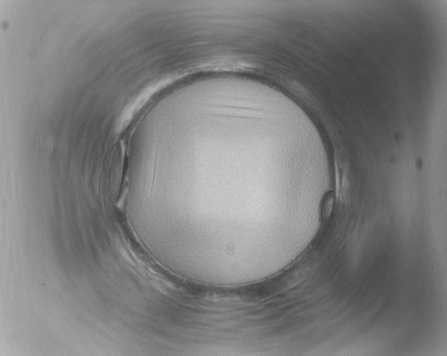 X0000051250531200507152152