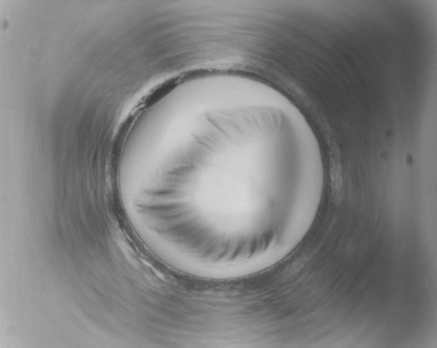 X0000051250532200507152152