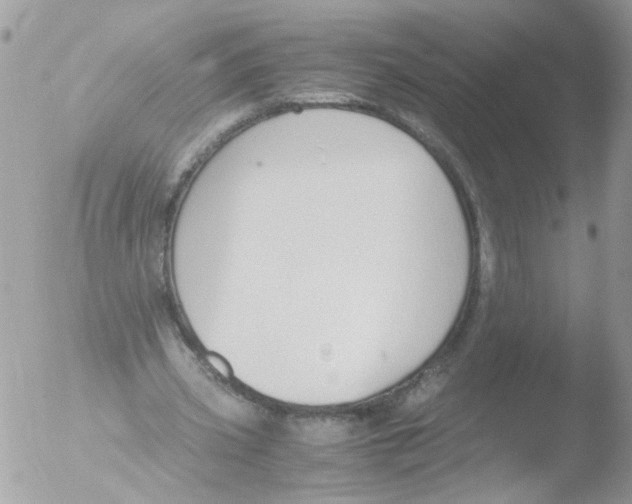 X0000051250533200507152152