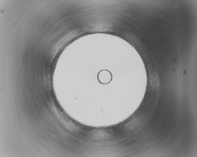 X0000051250534200507152152