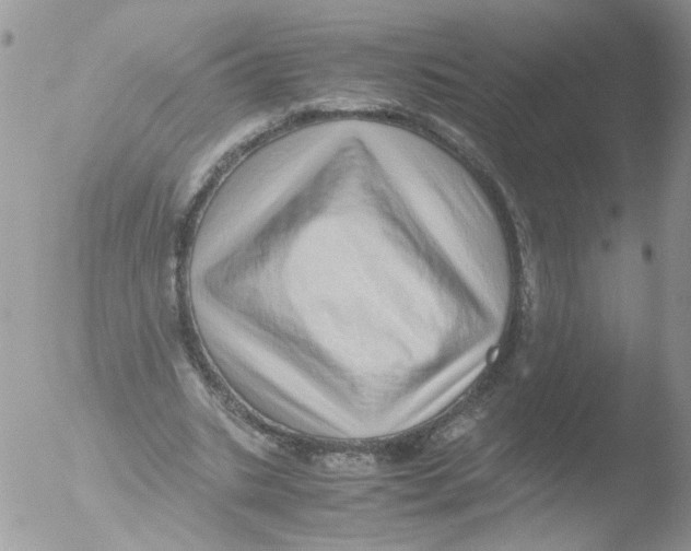 X0000051250535200507152152