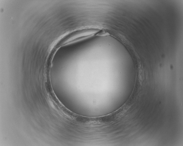 X0000051250536200507152152