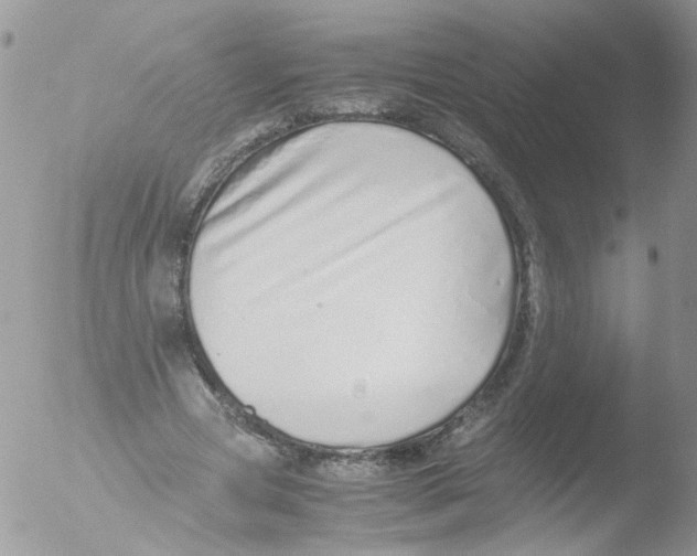 X0000051250537200507152152