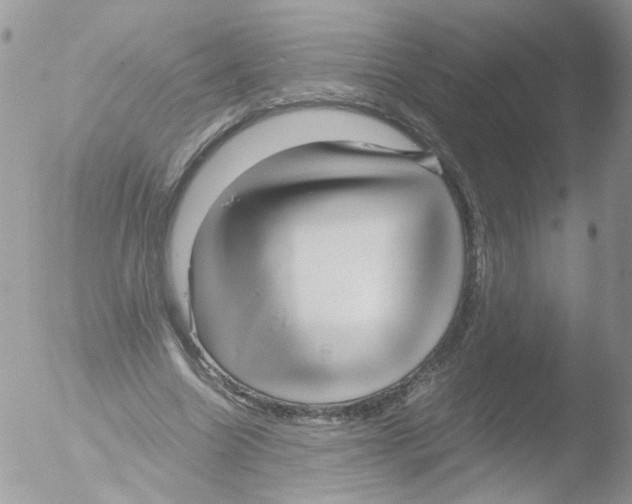 X0000051250538200507152152