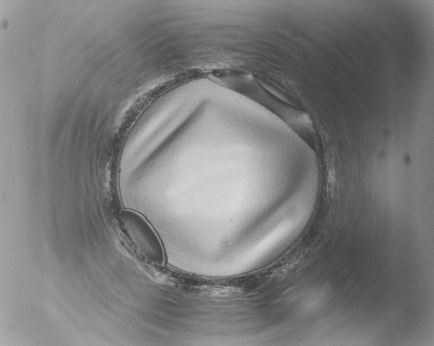 X0000051250539200507152152