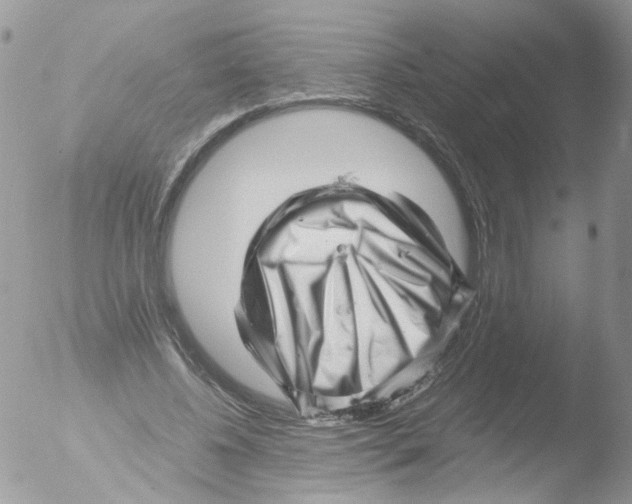 X0000051250540200507152152