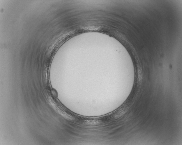 X0000051250541200507152152