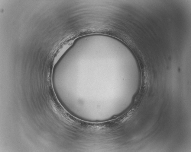 X0000051250542200507152152