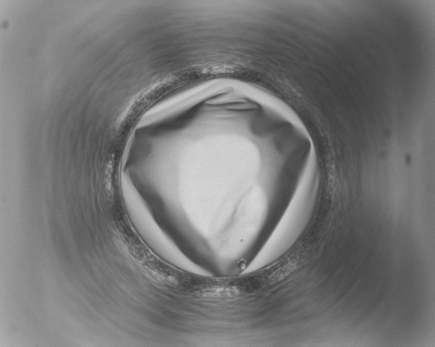 X0000051250543200507152152