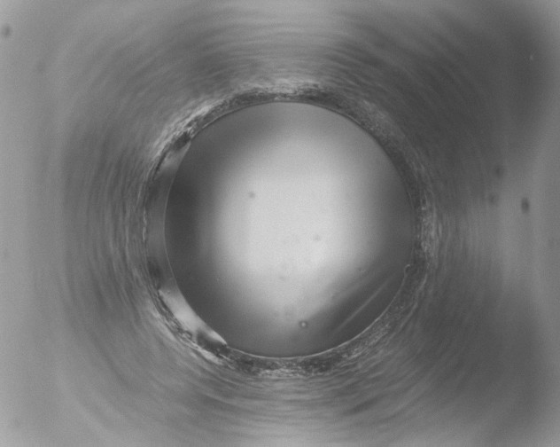 X0000051250544200507152152