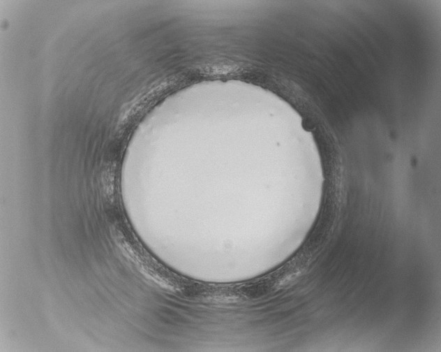 X0000051250545200507152152