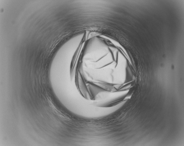 X0000051250546200507152152