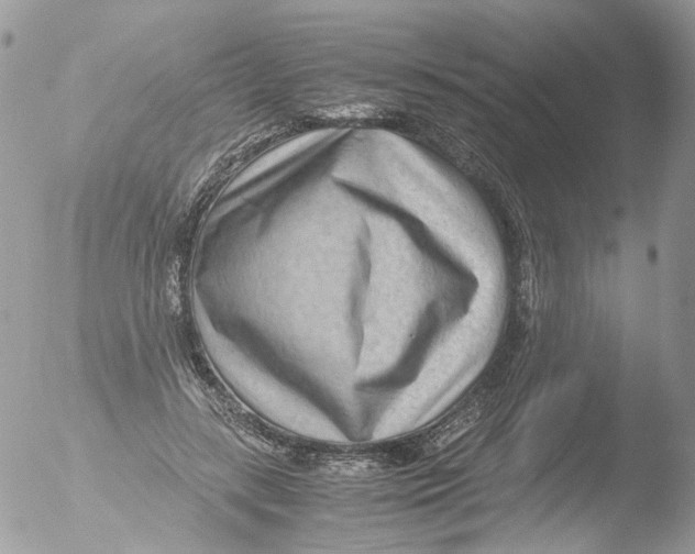 X0000051250547200507152152