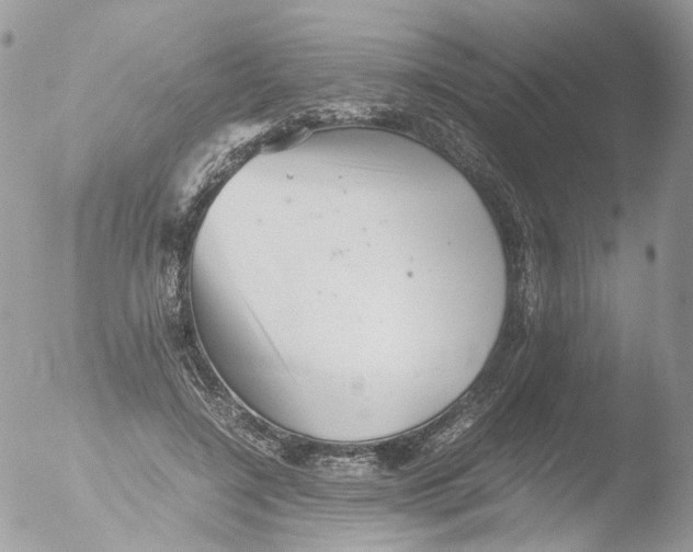 X0000051250548200507152152