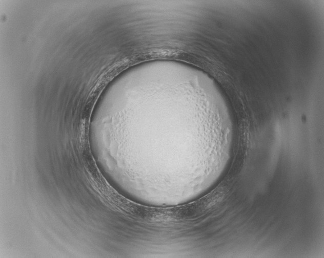 X0000051250550200507152152