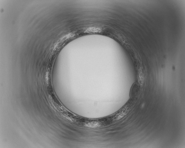 X0000051250551200507152152