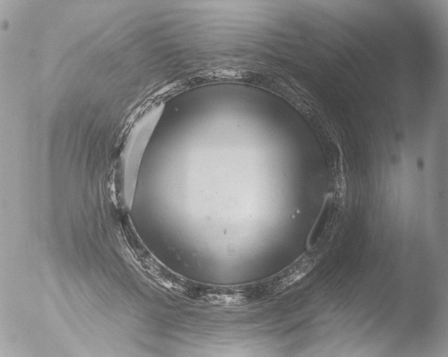 X0000051250552200507152152