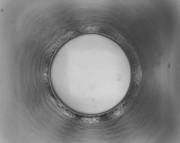 X0000051250553200507152152