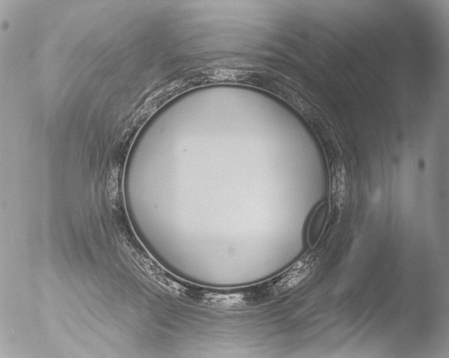 X0000051250554200507152152