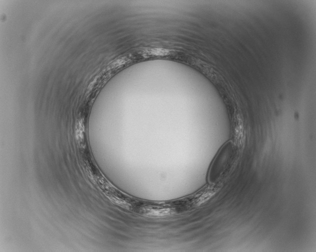 X0000051250555200507152152