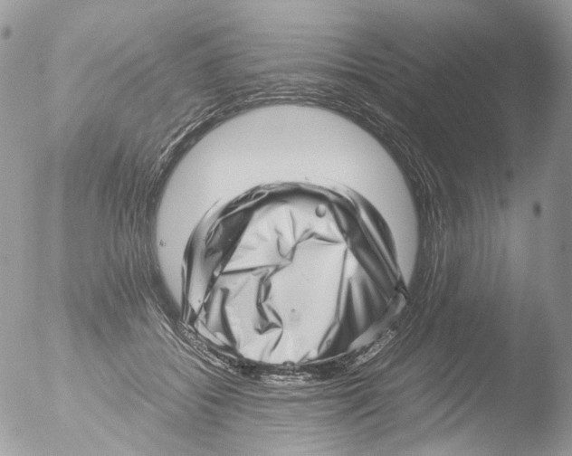 X0000051250556200507152152