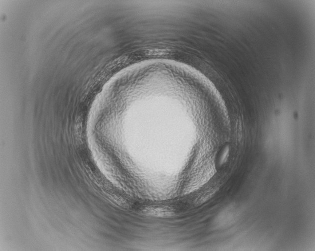 X0000051250557200507152152