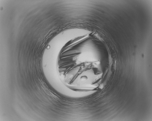 X0000051250558200507152152