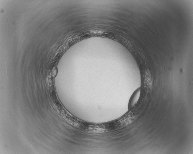 X0000051250559200507152152